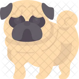 Pug  Ícone