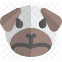 Pug Molesto Animal Fauna Icono