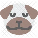 Pug Pensive  Icon