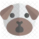 Pug Shock  Icon