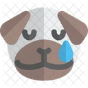 Pug Tear Animal Wildlife Icon