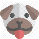 Pug Tongue  Icon