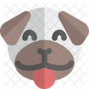 Pug Tongue Smiling  Icon