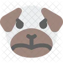Pug Upset Icon