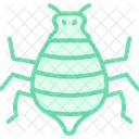 Pulgon Insecto Diminuto Icono