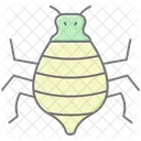 Pulgon Insecto Diminuto Icono