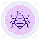 Pulgon Insecto Diminuto Icono