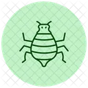 Pulgon Insecto Diminuto Icono