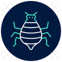 Pulgon Insecto Diminuto Icono