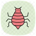 Pulgon Insecto Diminuto Icono
