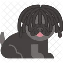 Puli Pelaje Acordonado Mamifero Icono