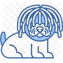 Puli Pelaje Acordonado Mamifero Icono