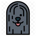 Puli Dog  Icon