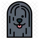 Puli Dog Icon