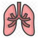 Pulmao Orgaos Orgaos Pulmonares Ícone