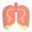 Pulmao Respiratorio Pulmonar Ícone