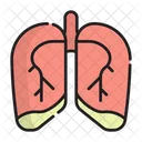 Pulmao Respiratorio Pulmonar Ícone