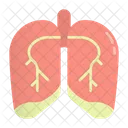 Pulmao Respiratorio Pulmonar Ícone