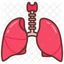 Pulmoes Respiratorio Oxigenacao Icon