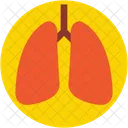 Pulmoes Respiracao Pneumologia Icon