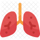 Pulmoes Cuidados De Saude E Medicos Pulmonares Ícone