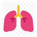 Pulmoes Respiracao Anatomia Icon