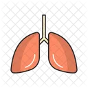 Pulmoes Respiracao Corpo Icon