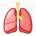 Pulmoes Medicos Cuidados De Saude Ícone