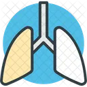 Pulmoes Anatomia Respiracao Icon