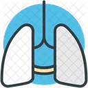 Pulmoes Anatomia Respiracao Icon