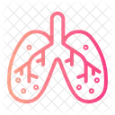 Pulmoes Respiracao Pulmonar Ícone