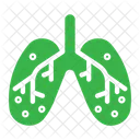 Pulmoes Respiracao Pulmonar Ícone