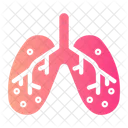 Pulmoes Respiracao Pulmonar Ícone