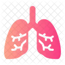 Pulmon Pulmones Respiracion Icono