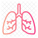 Pulmon Pulmones Respiracion Icono