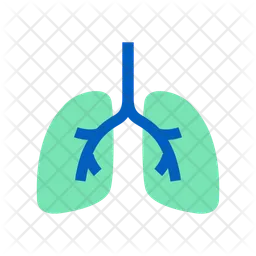 Pulmonary  Icon