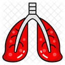 Pulmonary Organs Respiratory Organs Breathing Apparatus Icon