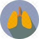 Pulmones Corazon Cuerpo Icono