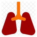 Pulmones Organo Anatomia Icon