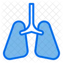 Pulmones Organo Anatomia Icon