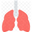 Pulmones  Icono