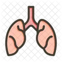 Pulmones  Icono