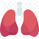 Pulmones Respiratorio Salud Icono