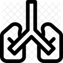 Pulmones  Icono