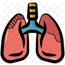 Los Pulmones Organo Medico Icon