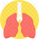 Pulmones  Icono