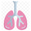 Pulmones Organo Anatomia Icon