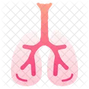 Pulmones Organo Anatomia Icon