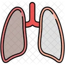 Pulmones Cuerpo Organo Icono