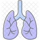 Pulmones  Icono